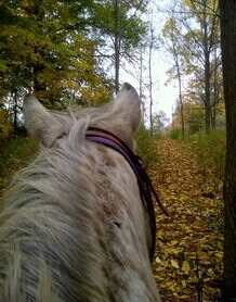 Experience horseback riding on scenic trails at Big Creek Stables