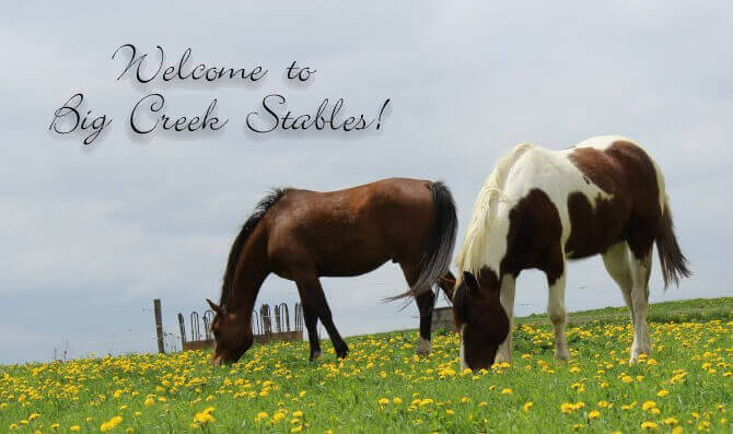 Big Creek Stables: Premier horseback riding and scenic trail rides in Hamilton, Ontario